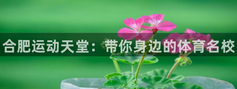 尊龙官方正版app官网:合肥运动天堂:带你身边的体育名校