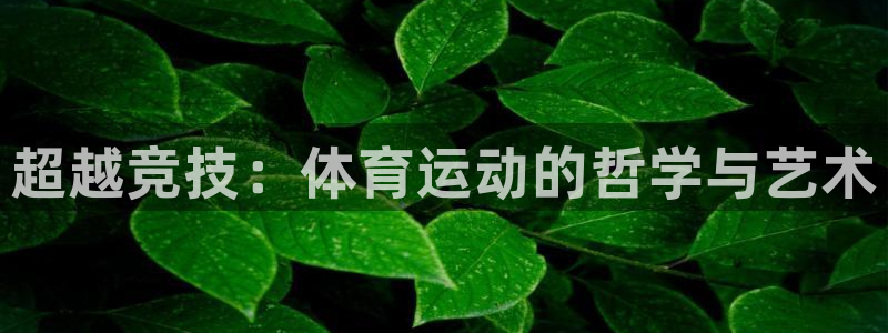 尊龙官方正版app官方:超越竞技:体育运动的哲学与艺术
