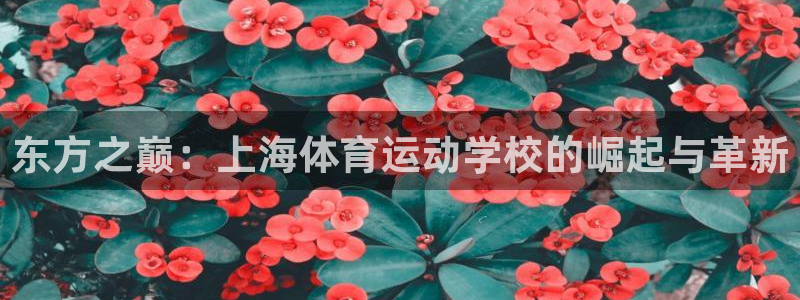 海南尊龙官网下载:东方之巅:上海体育运动学校的崛起与革新